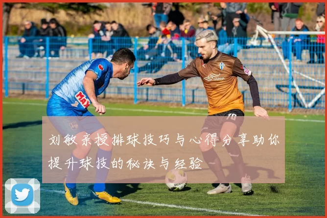 刘敏亲授排球技巧与心得分享助你提升球技的秘诀与经验