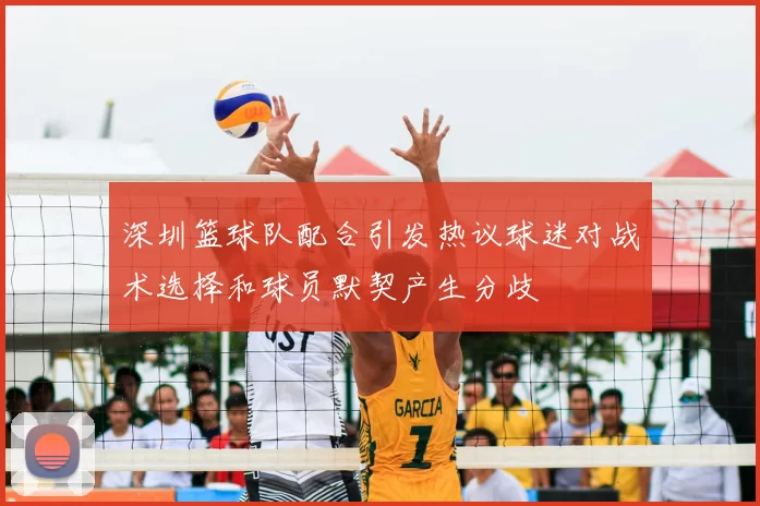 深圳篮球队配合引发热议球迷对战术选择和球员默契产生分歧