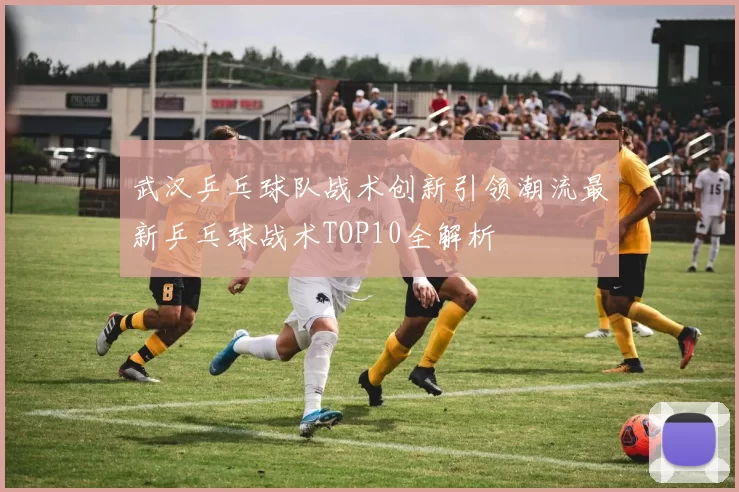 武汉乒乓球队战术创新引领潮流最新乒乓球战术TOP10全解析