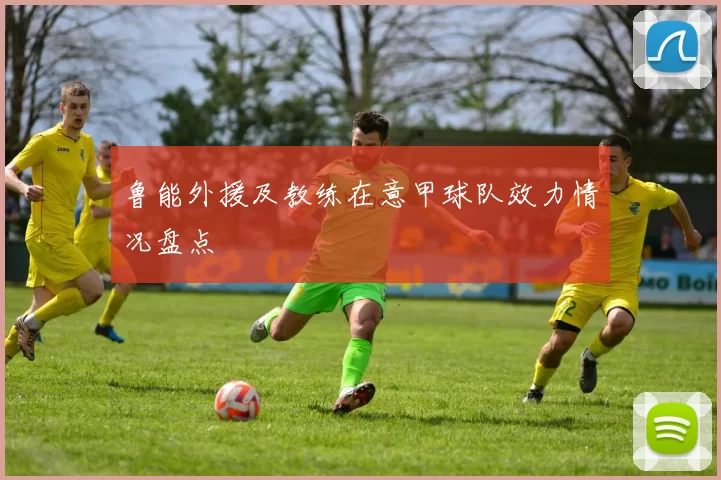鲁能外援及教练在意甲球队效力情况盘点