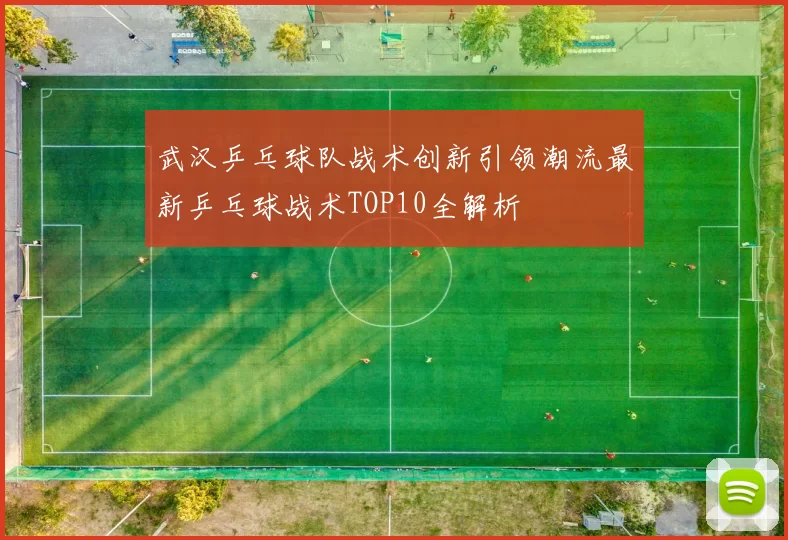 武汉乒乓球队战术创新引领潮流最新乒乓球战术TOP10全解析
