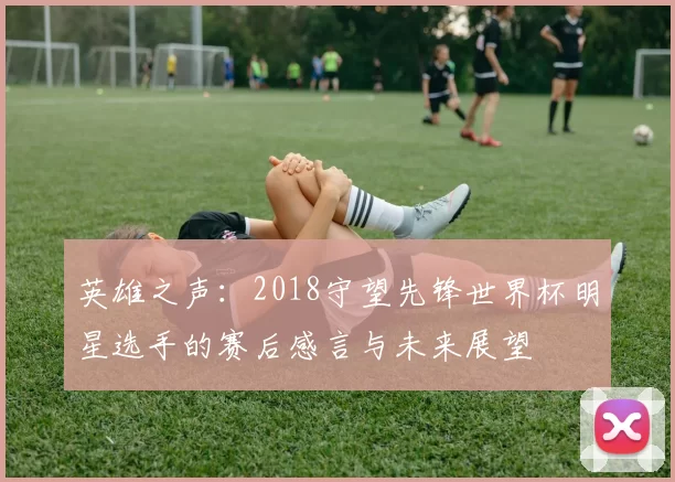 英雄之声：2018守望先锋世界杯明星选手的赛后感言与未来展望