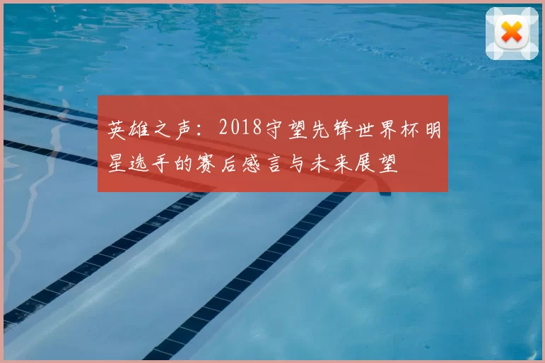 英雄之声：2018守望先锋世界杯明星选手的赛后感言与未来展望
