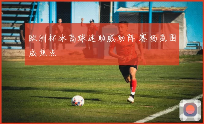 欧洲杯冰岛球迷助威助阵 赛场氛围成焦点