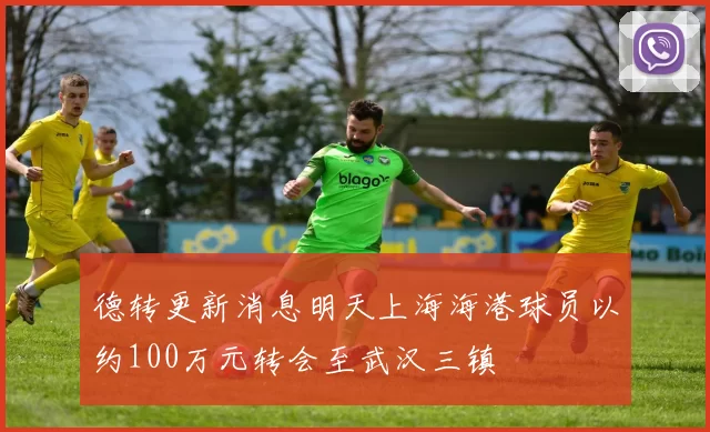 德转更新消息明天上海海港球员以约100万元转会至武汉三镇